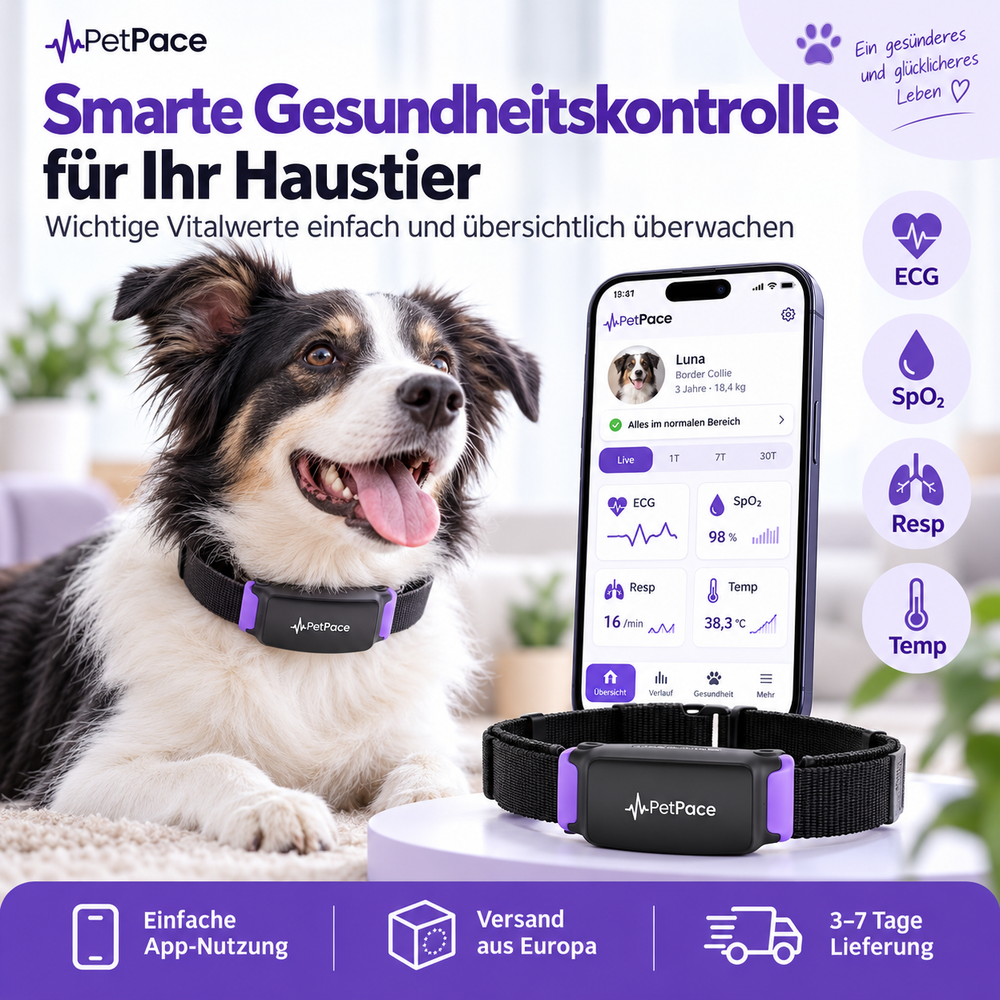 GPS Tracker für Hunde mit Aktivitätsüberwachung und App