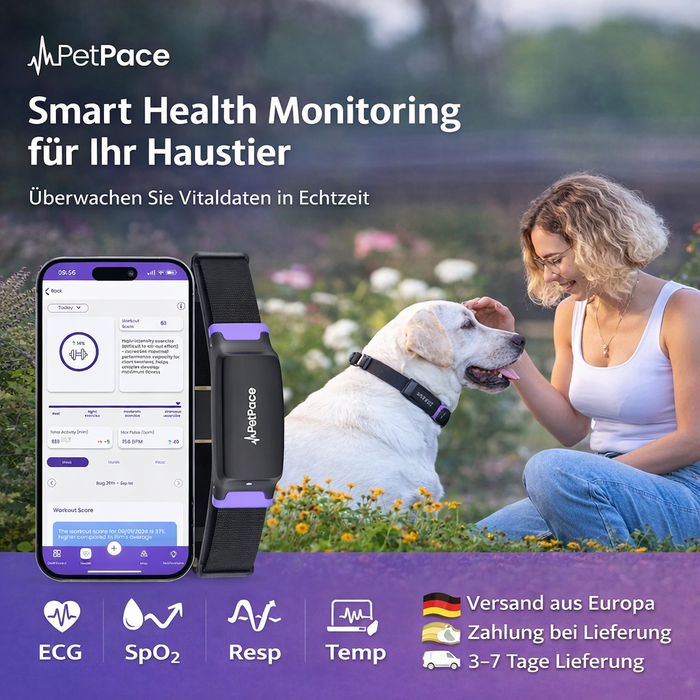GPS Tracker für Hunde mit Aktivitätsüberwachung und App
